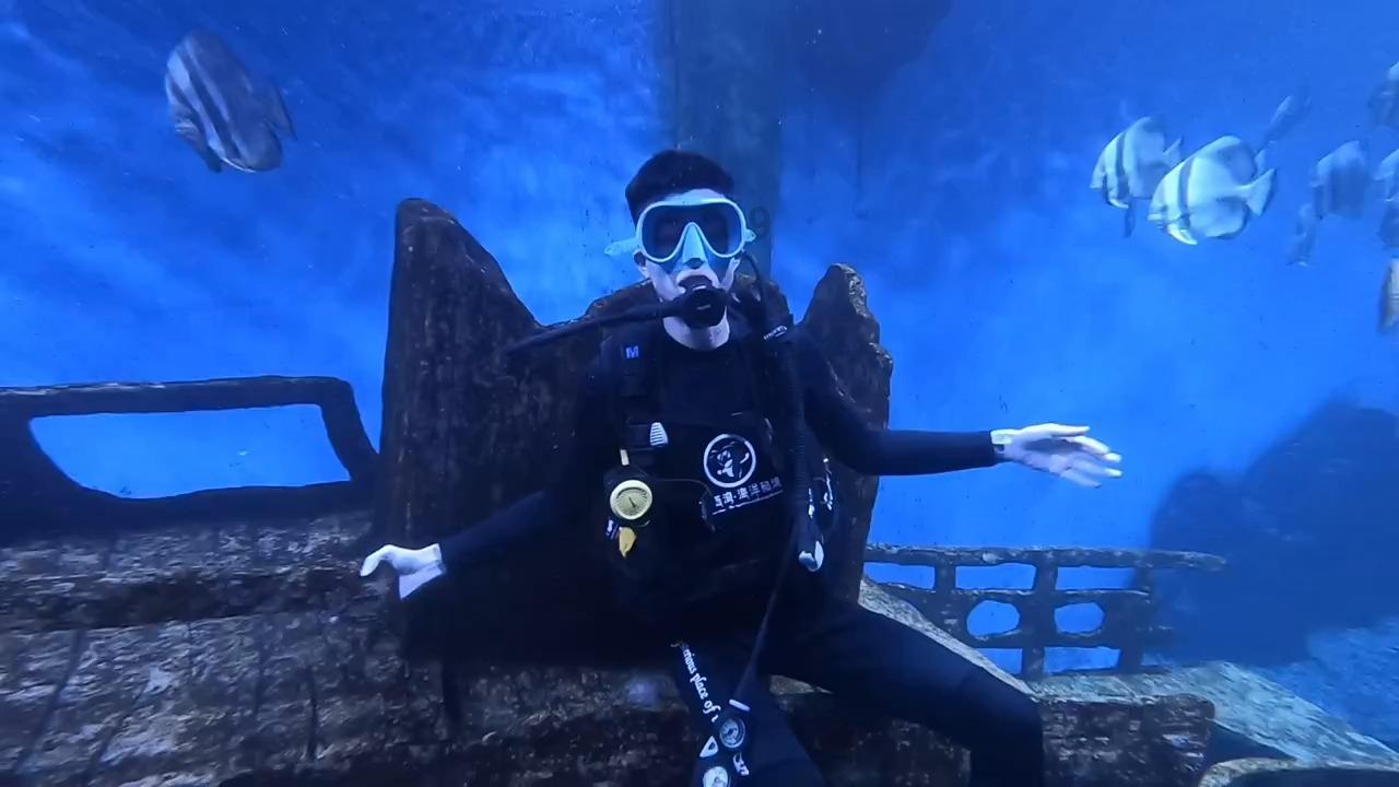 拯救机智男孩