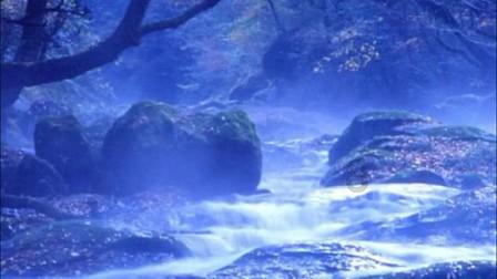 三国快打电脑版5